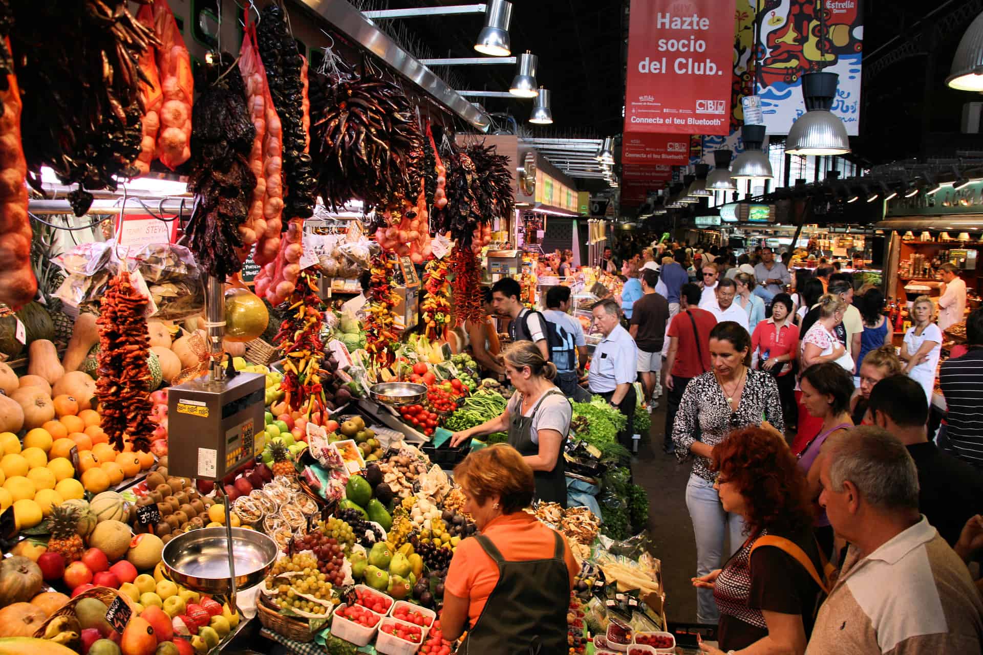 Grocery Shopping in Barcelona: Where to Shop and How to Save